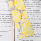 Citrus Fruit Slice Acrylic Bookmark Hand Drawn Clear Book Marker