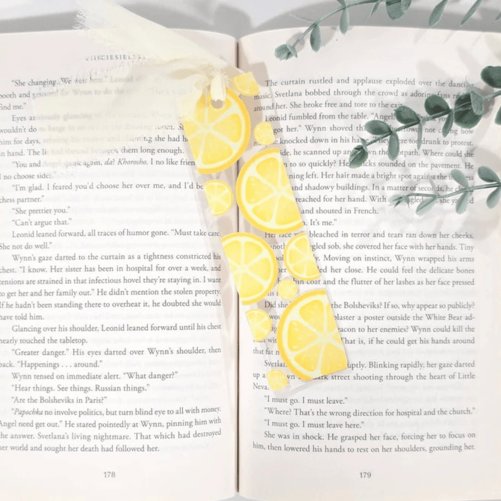 Citrus Fruit Slice Acrylic Bookmark Hand Drawn Clear Book Marker