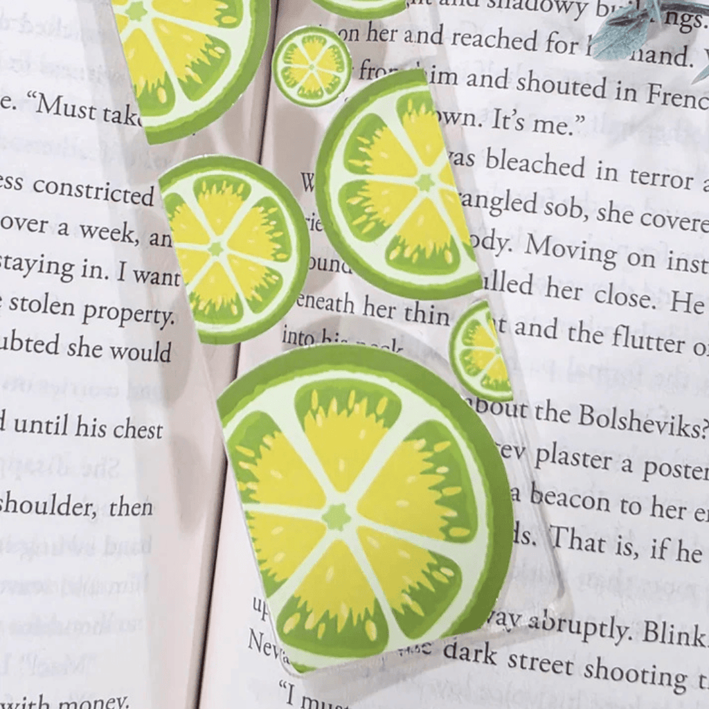 Citrus Fruit Slice Acrylic Bookmark Hand Drawn Clear Book Marker