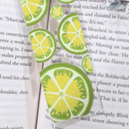 Citrus Fruit Slice Acrylic Bookmark Hand Drawn Clear Book Marker