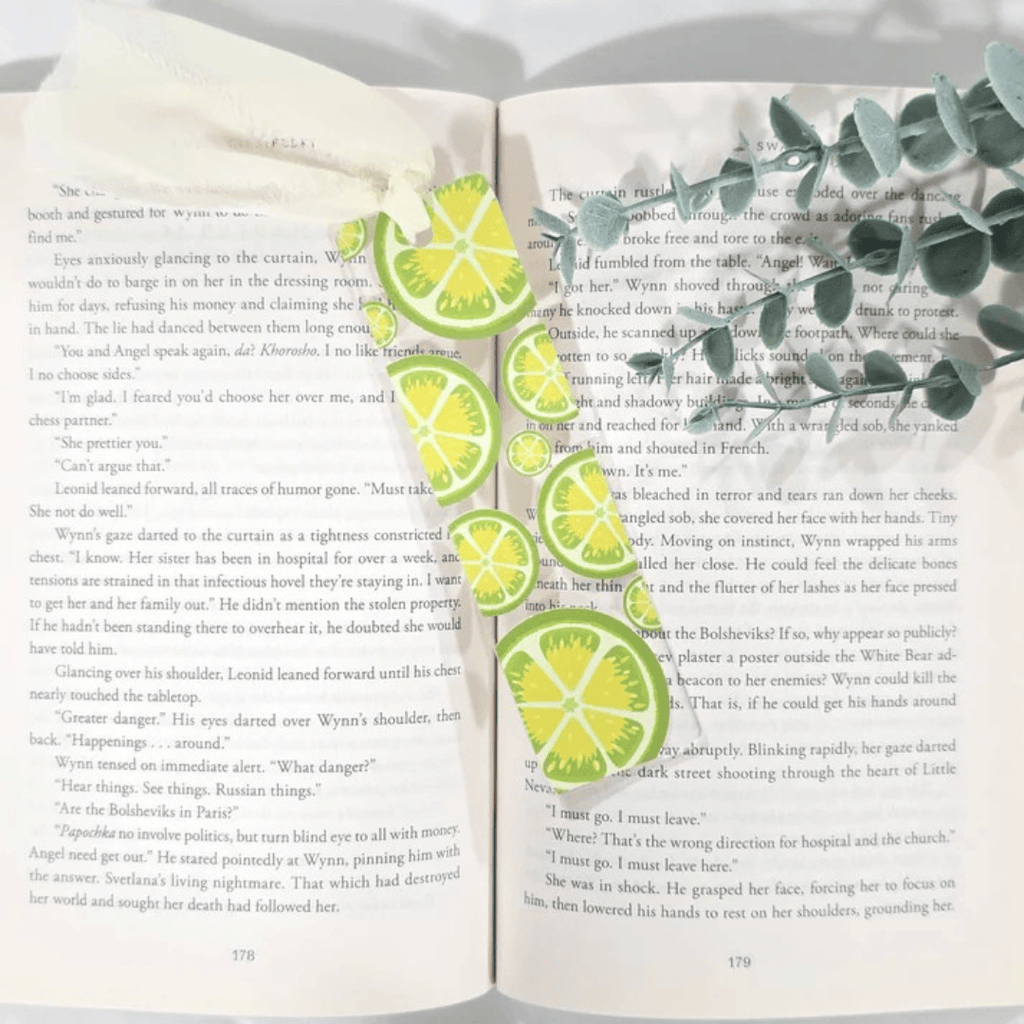 Citrus Fruit Slice Acrylic Bookmark Hand Drawn Clear Book Marker